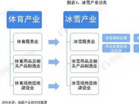 预见2021：《2021年中国冰雪产业全景图谱》