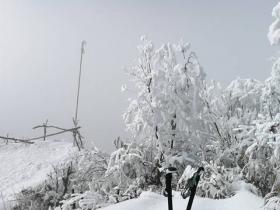 多地迎来“初雪” 旅企开打冰雪旅游卡位战