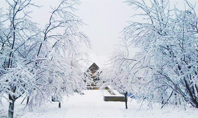 四川成都西岭雪山滑雪场