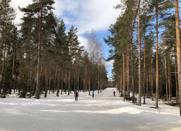 在拉赫蒂市体育中心，民众免费享受专业冰雪场地。