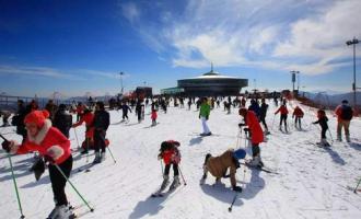 室外滑雪场中有哪些安全隐患？需要怎么预防?