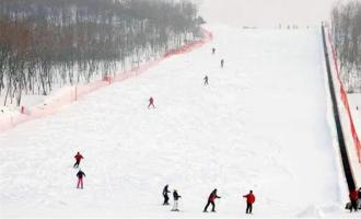 崇礼多乐美地滑雪场有多少条滑雪道？